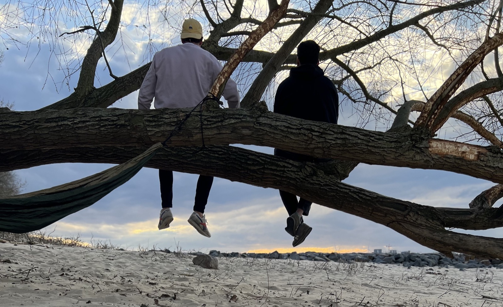 Two friends sitting on a low tree branch, legs dangling, sunset behind.