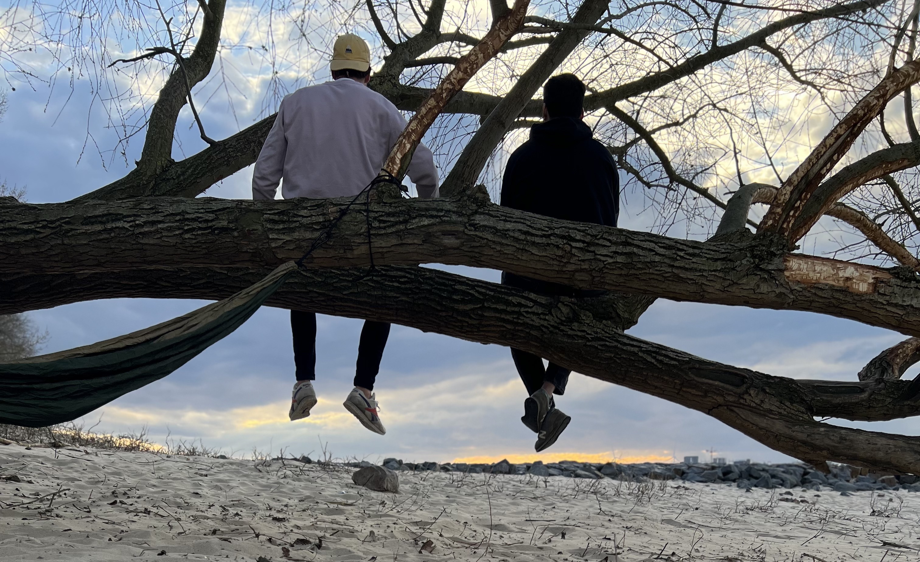 Two friends sitting on a low tree branch, legs dangling, sunset behind.