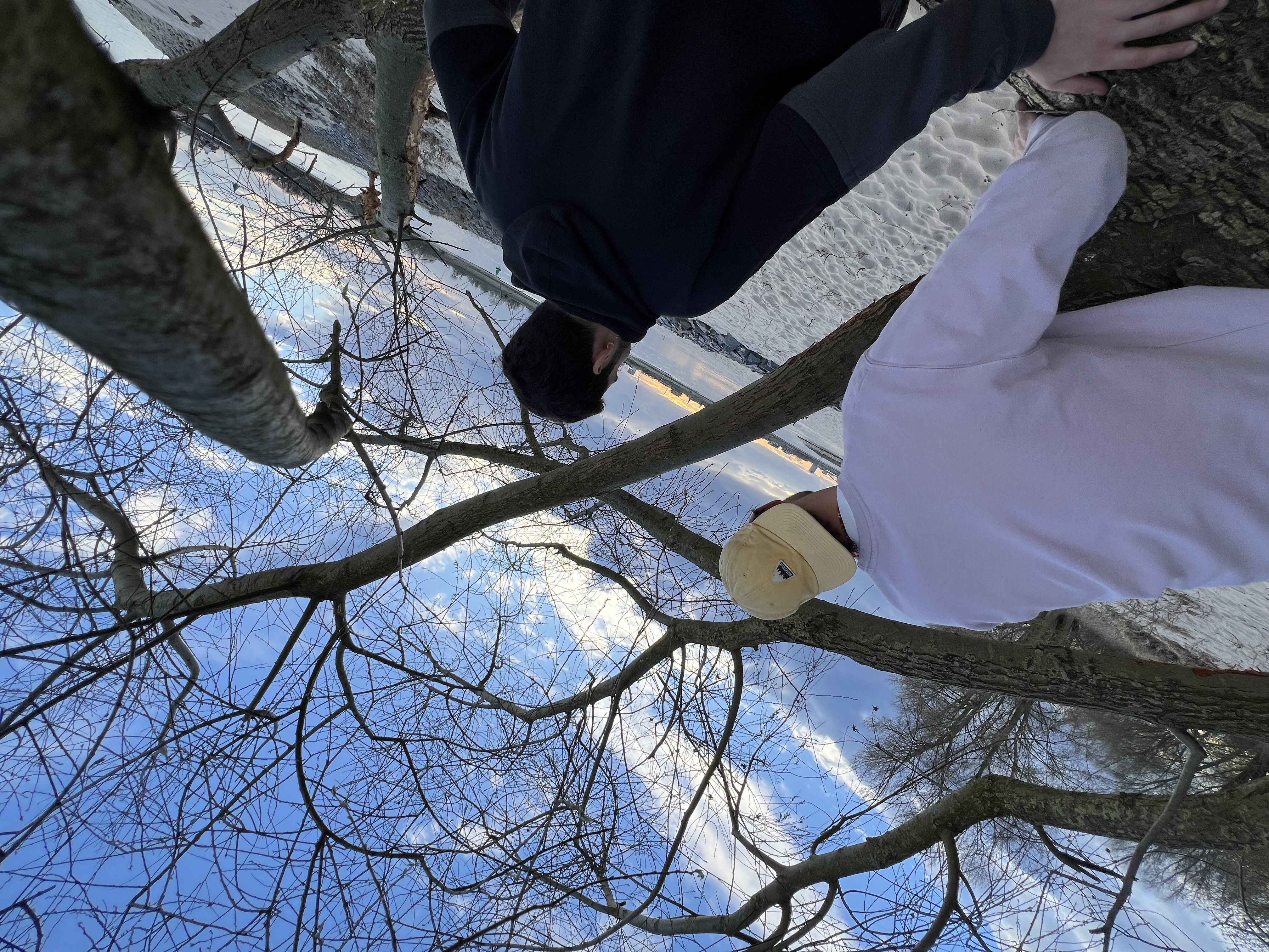 Looking up through bare branches at an open winter sky.
